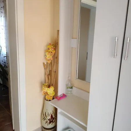 Apartment Sasa Banja Koviljaca