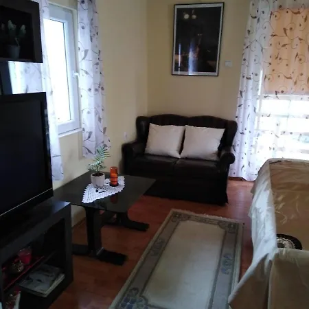 Apartment Sasa Banja Koviljaca