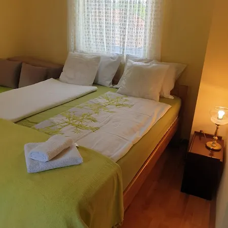 Sasa Banja Koviljača