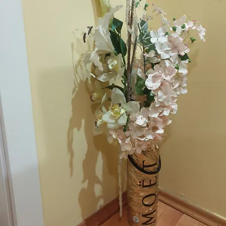 Sasa Apartment