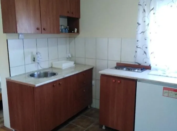 Apartamento Sasa Banja Koviljača