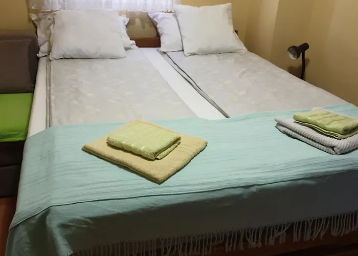 Sasa Apartamento Banja Koviljača