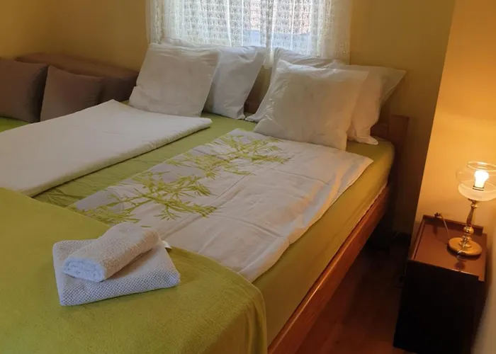 Sasa Banja Koviljača